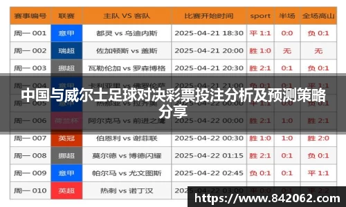 中国与威尔士足球对决彩票投注分析及预测策略分享