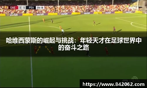 yy易游